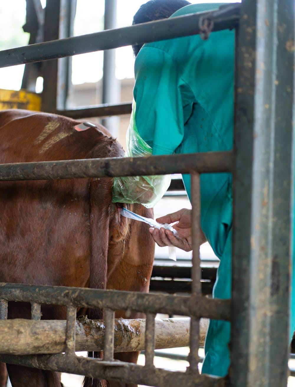RESILIENCE THROUGH INNOVATION - 2nd Annual Six Nations Livestock Genetics Expo 2026 FOCUSES ON SURVIVAL AND PROFITABILITY