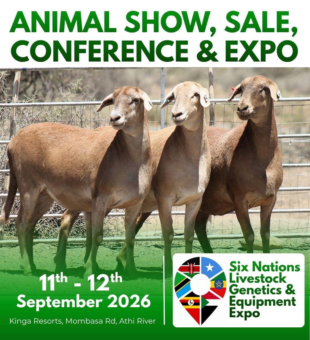 East Africa Meatmaster Breeders to showcase top genetics