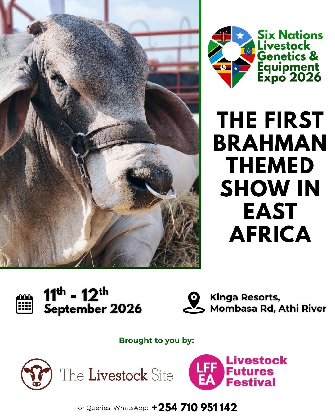 Why Brahman Themed Show @ Six Nations Livestock Expo