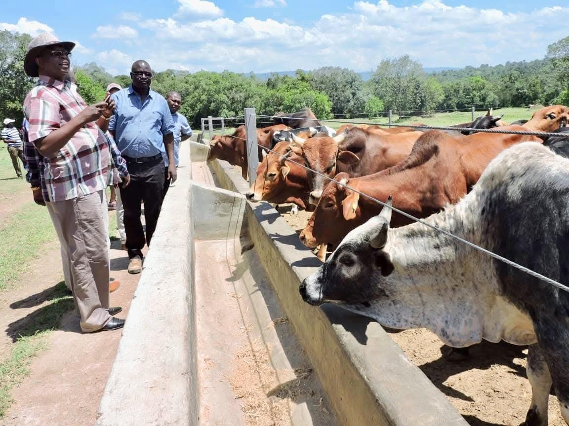 Financing the Future of Livestock discussions at the Six Nations Livestock Expo