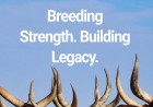 Bona Bona Livestock teams up with Embryo Plus East Africa at Six Nation Livestock Genetics Expo