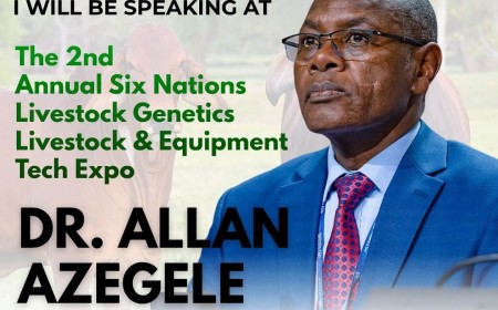 Six Nations Livestock Expo Seeks DVS Support to Strengthen Regional Livestock Trade