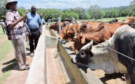 Financing the Future of Livestock discussions at the Six Nations Livestock Expo