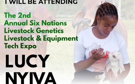 Upcoming breeder, Nyiva breaking the mold set for Six Nations Expo
