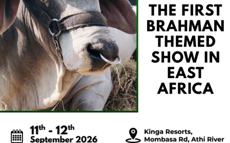 Why Brahman Themed Show @ Six Nations Livestock Expo