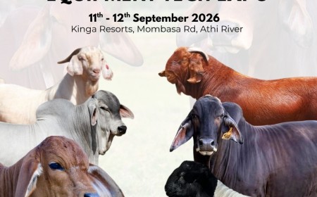 Heading to Six Nations Livestock Expo 2026? Here’s what you need to know