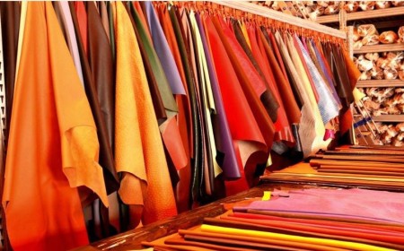 Animal Genetics Impact on Leather to feature at the Six Nations Livestock Expo