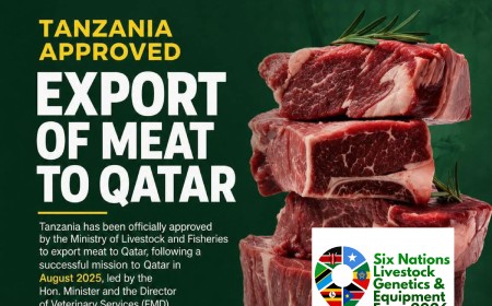 TANZANIA REGAINS ACCESS TO QATAR'S MEAT MARKET