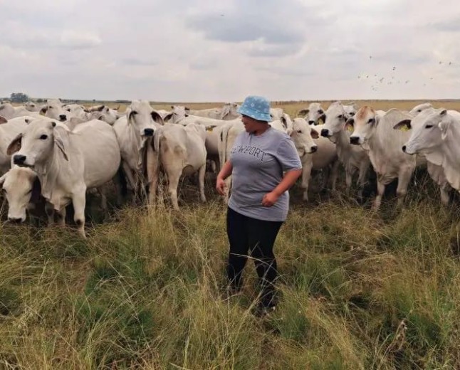 The Digital Tug-of-War in Livestock Marketing, competing on zero interests by farmers. 