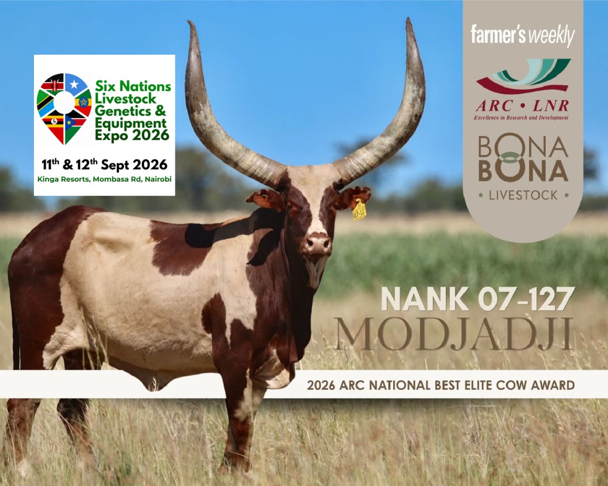 Ankole Elite Breeder Bona Bona Livestock to grace the Livestock Expo in Nairobi