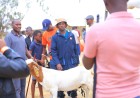 Farmers Turn Up for Day Two of the 2nd Six Nations Livestock Genetics Livestock & Equipment Expo