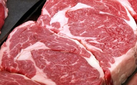 Meat Quality Lessons for Eastern Hemisphere Beef producers @ The Six Nations Livestock Expo