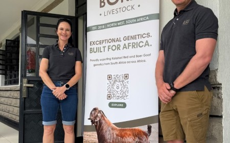 Imagine multiplying your best goat’s genes 10 or 20 times in a single year!
