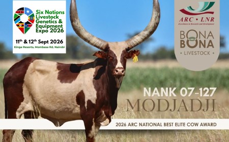Ankole Elite Breeder Bona Bona Livestock to grace the Livestock Expo in Nairobi