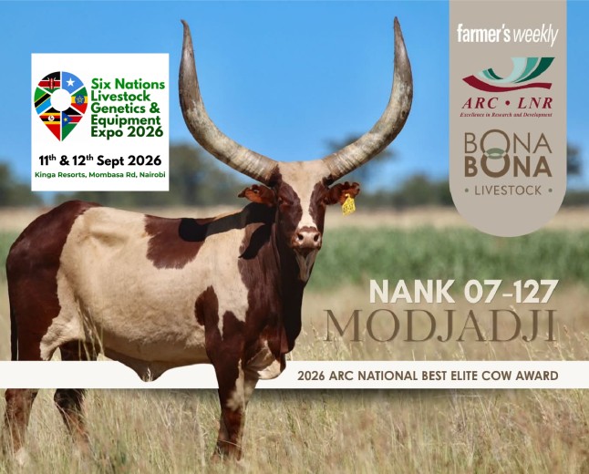 Ankole Elite Breeder Bona Bona Livestock to grace the Livestock Expo in Nairobi