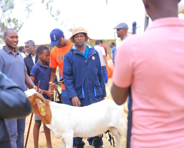 Farmers Turn Up for Day Two of the 2nd Six Nations Livestock Genetics Livestock & Equipment Expo