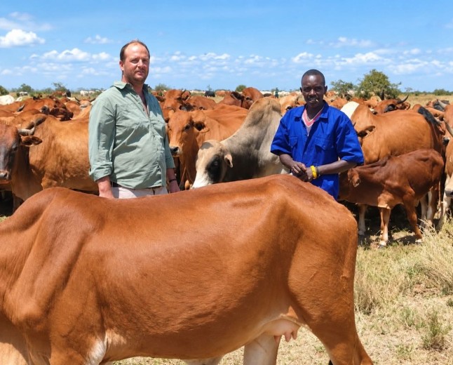 From 80 to 100 Cattle 