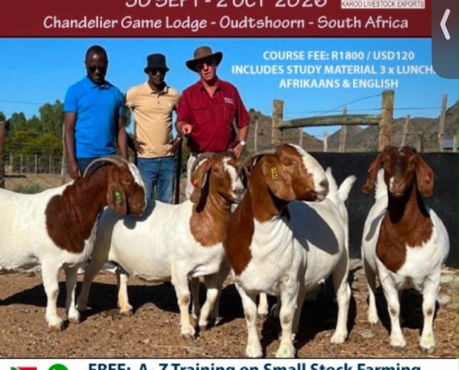 Boer Goat Course at Karoo Livestock