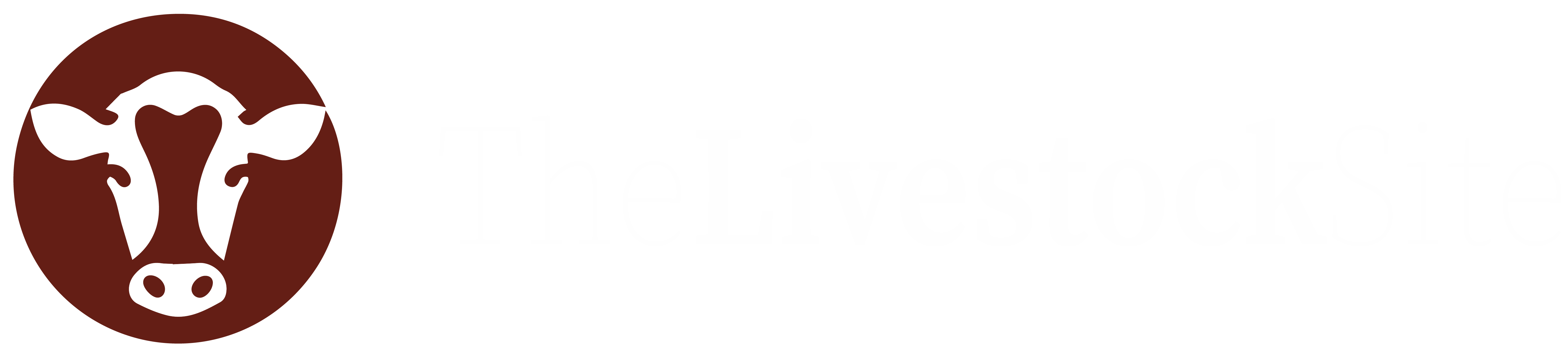Application Name Logo