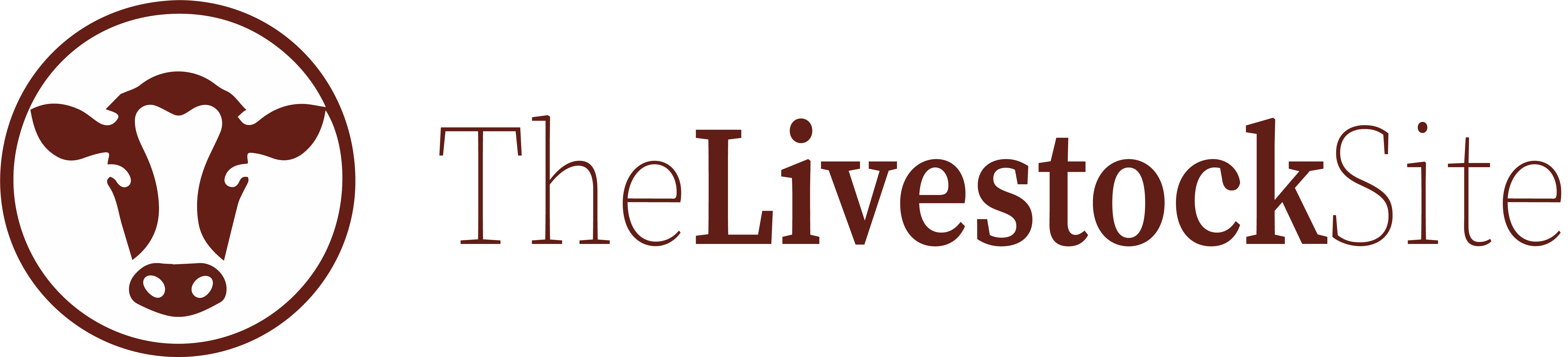Application Name Logo